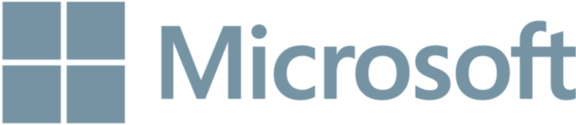 microsoft partner logo